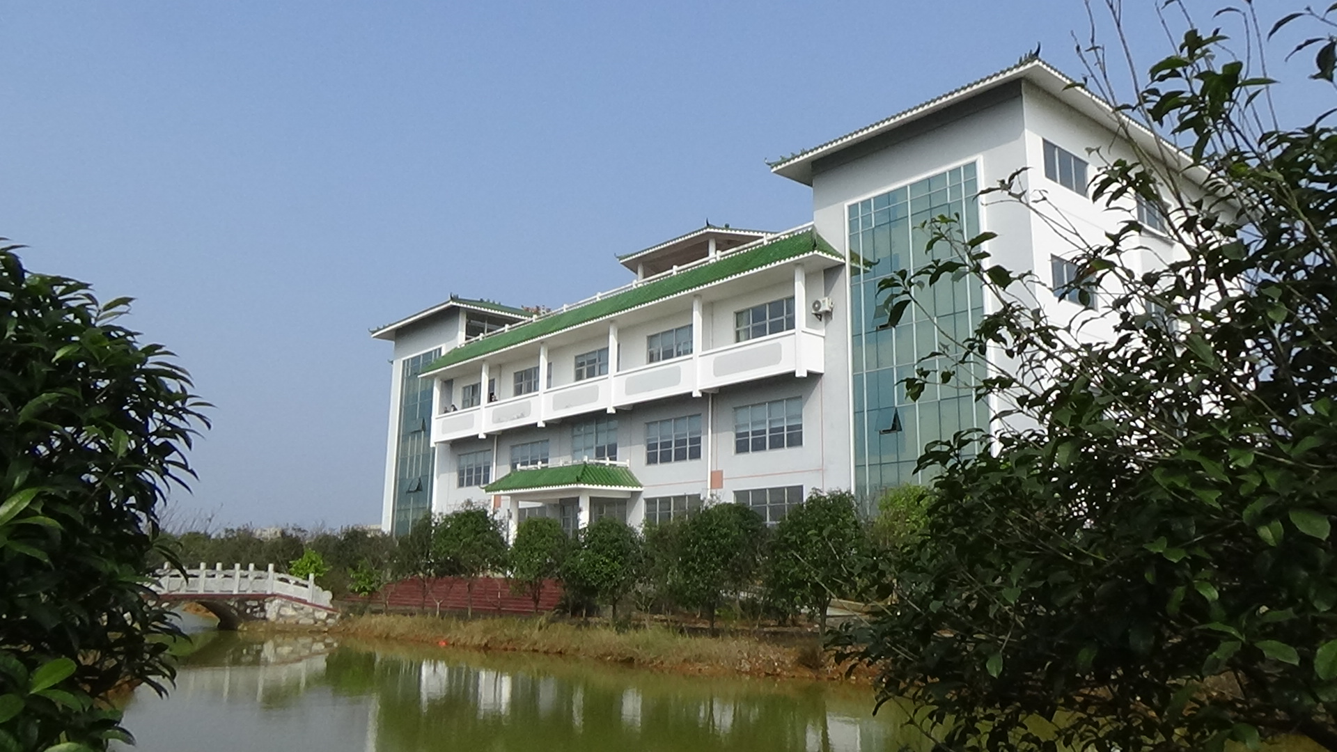 Global presence of the company