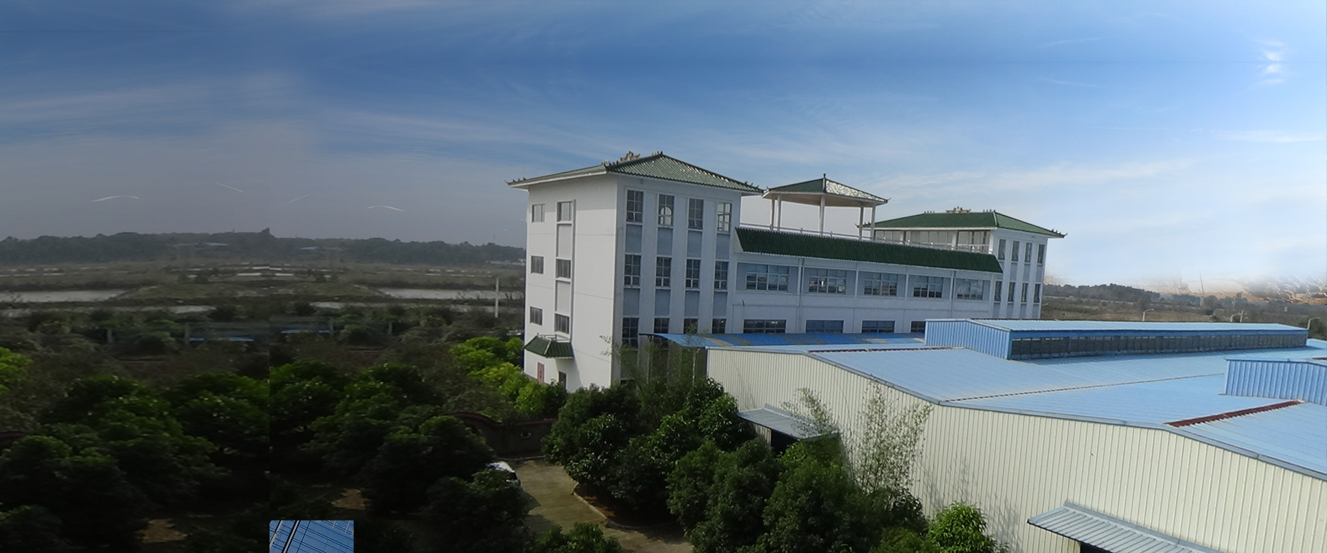 Premium Compound Sweetener Production Excellence